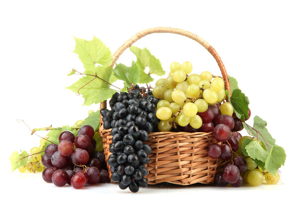 assortment of ripe sweet grapes in basket, isolated on white