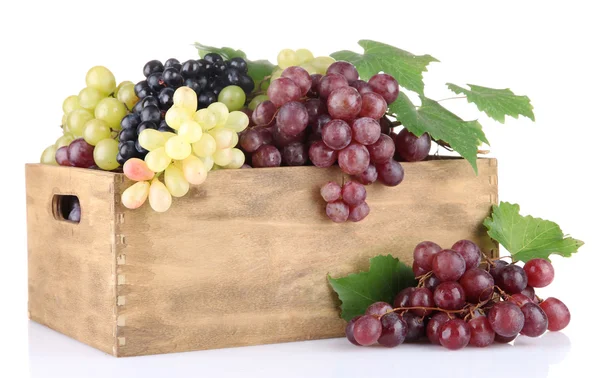 Assortment of ripe sweet grapes in wooden crate, isolated on white — Stock Photo, Image