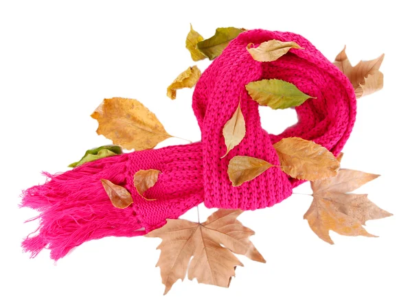 Warm knitted scarf pink with autumn foliage isolated on white — Stock Photo, Image