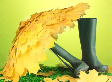 akçaağaç şemsiye ile gumboots yeşil çimenlerin üzerinde bırakır