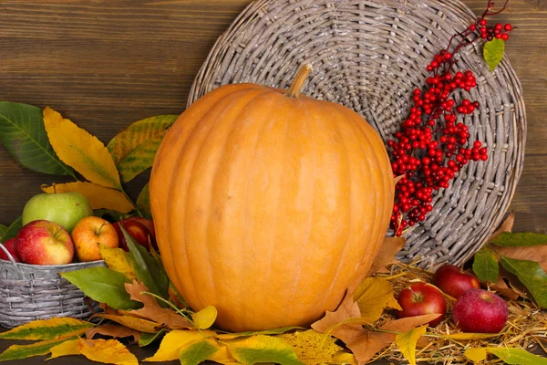 Eccellente natura morta autunnale con zucca su tavolo di legno su sfondo di legno — Foto Stock