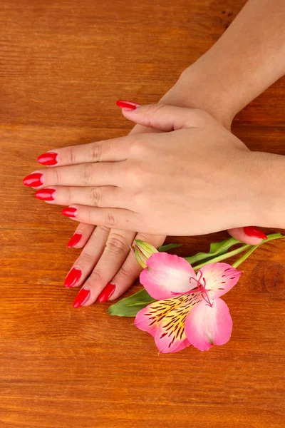 Женские руки с цветами на деревянном фоне — стоковое фото