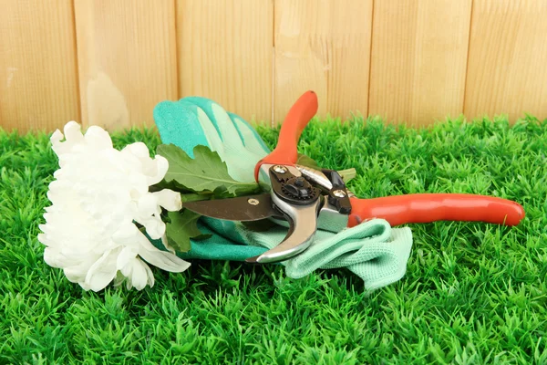 Zahradnické nůžky s květem na trávě na plot pozadí — Stock fotografie