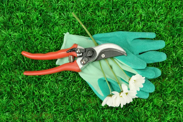 Gartenschere mit Blume auf grünem Gras Hintergrund — Stockfoto