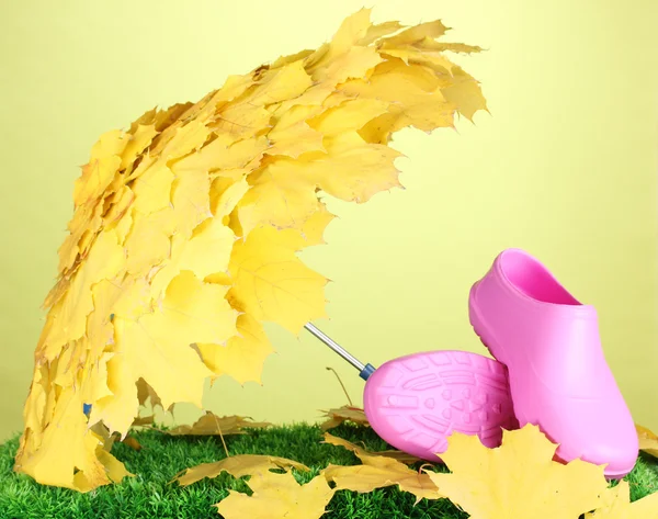 Feuilles d'érable parapluie avec des bottes de gomme sur herbe verte — Photo