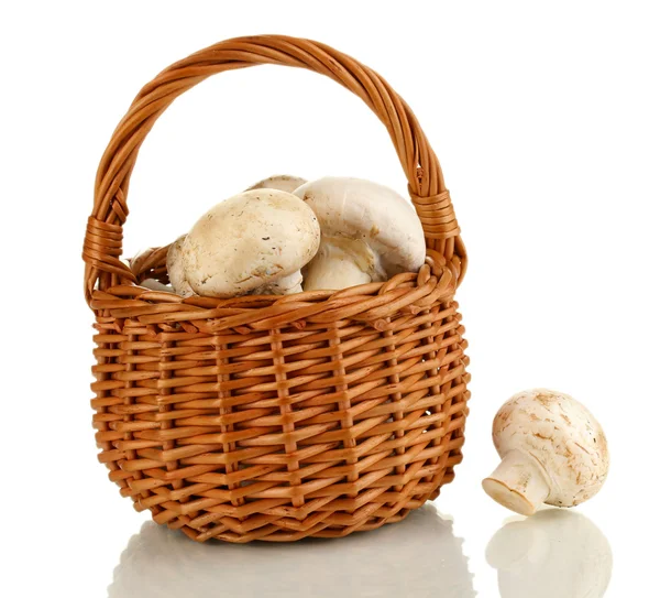 Cogumelos frescos em cesta isolados em branco — Fotografia de Stock