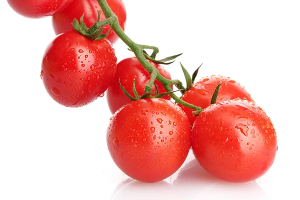 Wiśniowe pomidory na oddział z kropli na białym tle — Zdjęcie stockowe