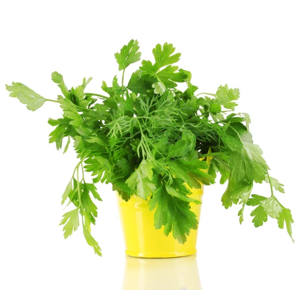 Cubo amarillo con perejil y eneldo aislado en blanco — Foto de Stock