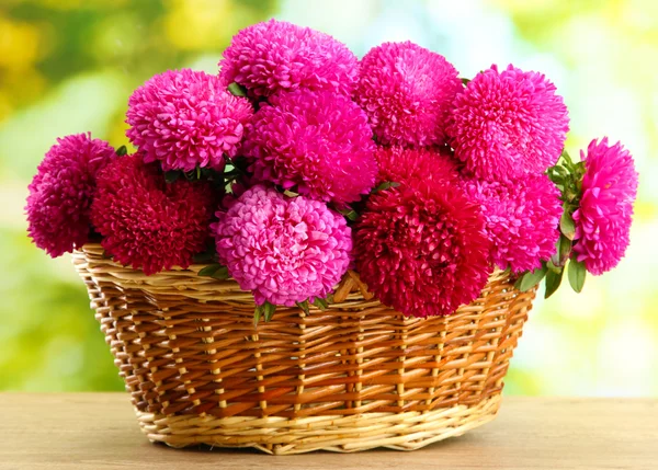 Flores de aster rosa en cesta sobre fondo verde —  Fotos de Stock