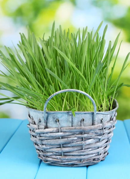 Green grass in basket on wooden table on bright background — Stock Photo, Image