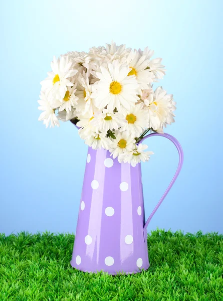 Flowers in vase on grass on blue background — Stock Photo, Image