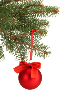 çam ağacı, beyaz izole Noel topu