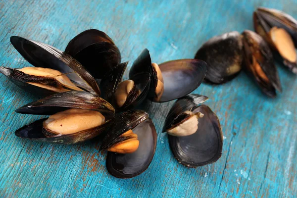 Mosselen in shell op blauwe houten tafel — Stockfoto