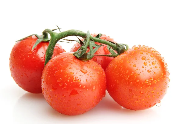 Tomates cherry en una rama con gotas aisladas en blanco — Foto de Stock