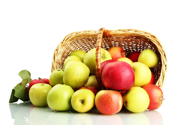 Juicy apples with green leaves in basket, isolated on white — Stock Photo, Image