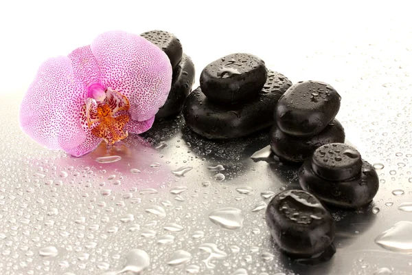 Piedras de spa y flor de orquídea, sobre fondo húmedo — Foto de Stock