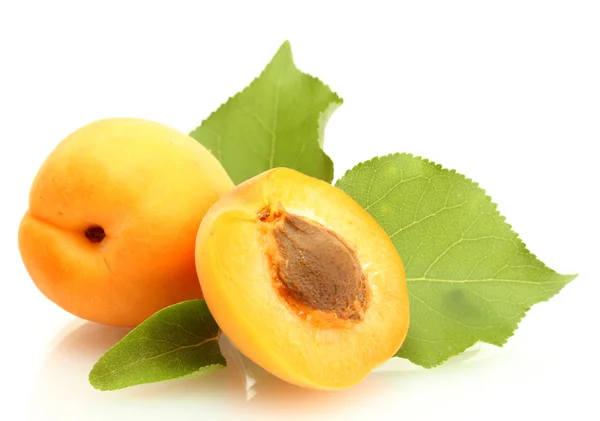 Ripe sweet apricots with green leaves isolated on white — Stock Photo, Image