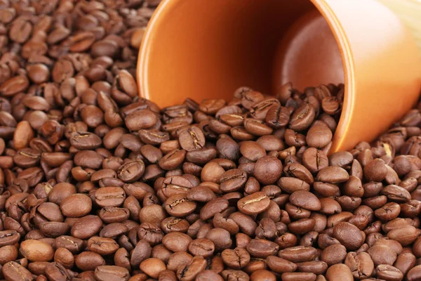 Coffee beans and cup close-up — Stock Photo, Image