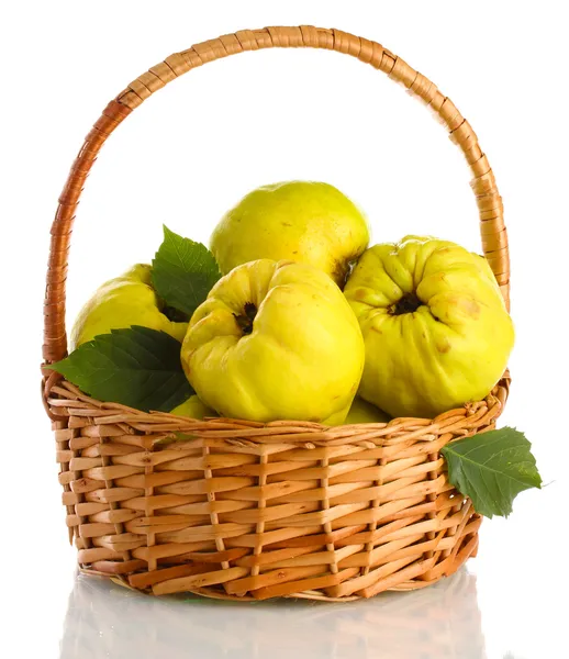 Sweet quinces with leaves in basket, isolated on white — Stock Photo, Image