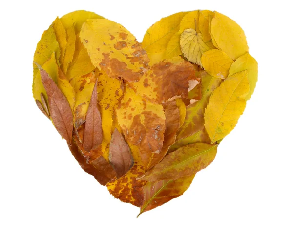 Bright autumn leaves lie in shape of heart isolated on white — Stock Photo, Image