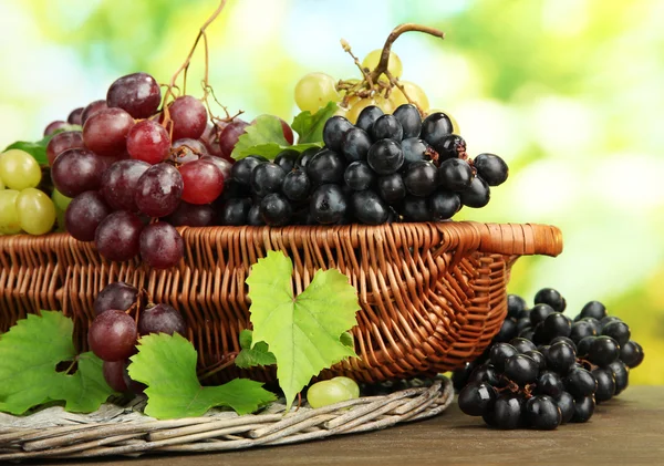 Assortment of ripe sweet grapes in basket, on green background — Stock Photo, Image