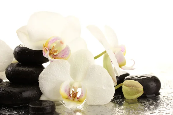 Piedras de spa y flores de orquídea, aisladas en blanco —  Fotos de Stock