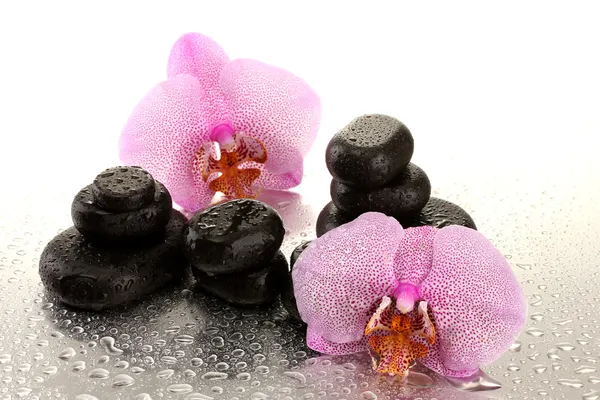 Pietre termali e fiori di orchidea, su sfondo bagnato — Foto Stock