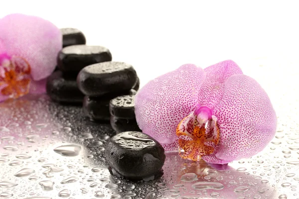Spa kamienie i kwiaty orchidei, na tle mokre — Zdjęcie stockowe