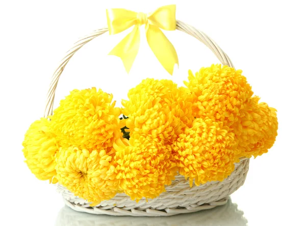 Bright yellow chrysanthemums in basket, isolated on white — Stock Photo, Image