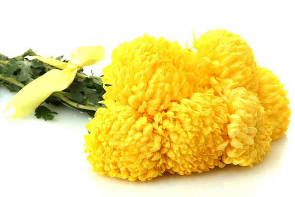 Bright yellow chrysanthemums, isolated on white — Stock Photo, Image