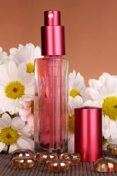 Perfume de mujer en hermosa botella con manzanillas sobre fondo marrón — Foto de Stock