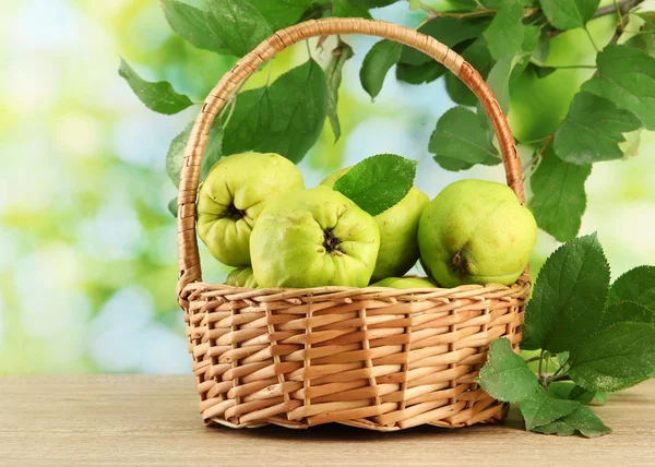 Sweet quinces with leaves in basket, on green background — Stock Photo, Image