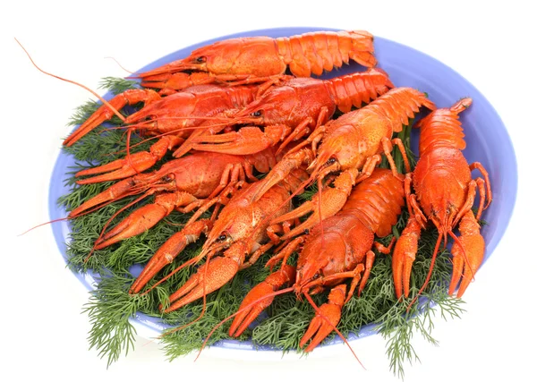 Crayfishes 흰색 절연 판에 회 향을 삶은 맛 있는 — 스톡 사진