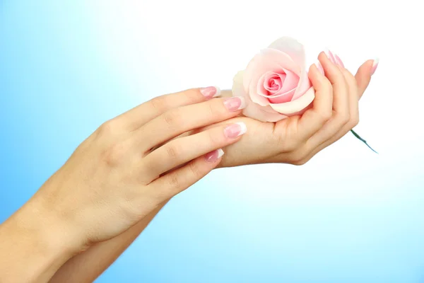 Beautiful woman hands with rose, on blue background — Stock Photo, Image