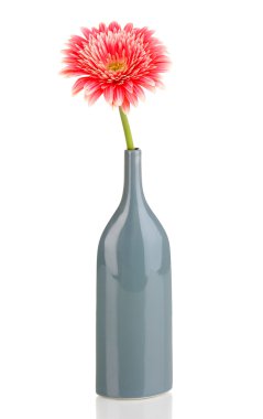 güzel gerbera cam aranjman beyaz izole