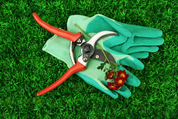 Secateurs con fiore su sfondo verde erba — Foto Stock