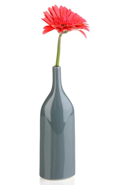 Krásný gerbera v váza izolovaných na bílém — Stock fotografie