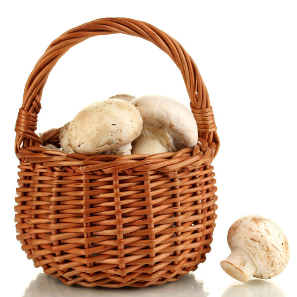 Свежие грибы в корзине изолированы на белом

