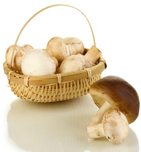 Funghi freschi in cesto isolato su bianco — Foto Stock