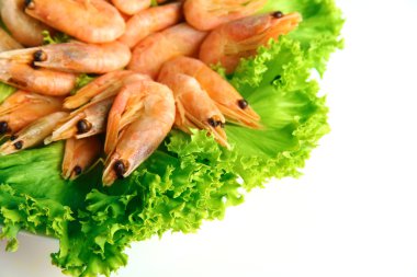 tabakta üzerine beyaz izole marul yaprakları ile haşlanmış karides