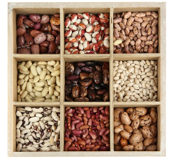 Diverse beans in wooden box sections isolated on white — Stock Photo, Image