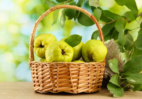 Membrillos dulces con hojas en cesta, sobre fondo verde — Foto de Stock