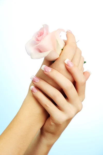 Belas mãos de mulher com rosa, no fundo azul — Fotografia de Stock