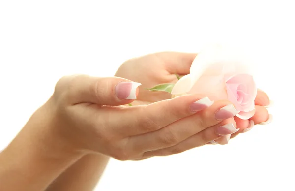 Bella donna mani con rosa, isolato su bianco — Foto Stock