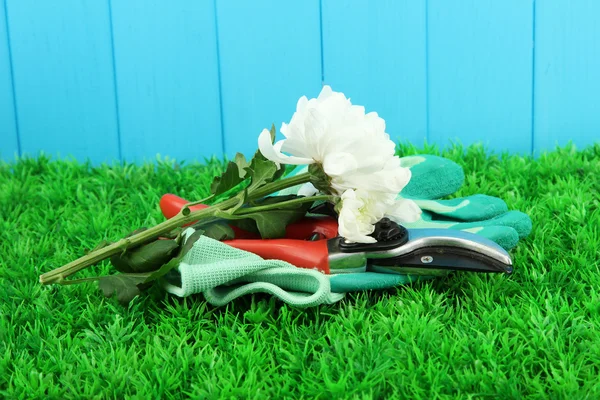 Secateurs con fiore su erba su sfondo recinzione — Foto Stock