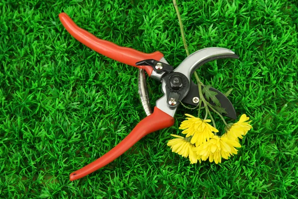 Gartenschere mit Blume auf grünem Gras Hintergrund — Stockfoto