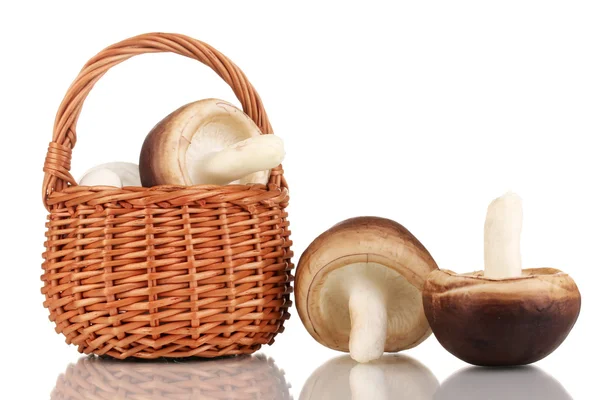 Fresh mushrooms in basket isolated on white — Stock Photo, Image