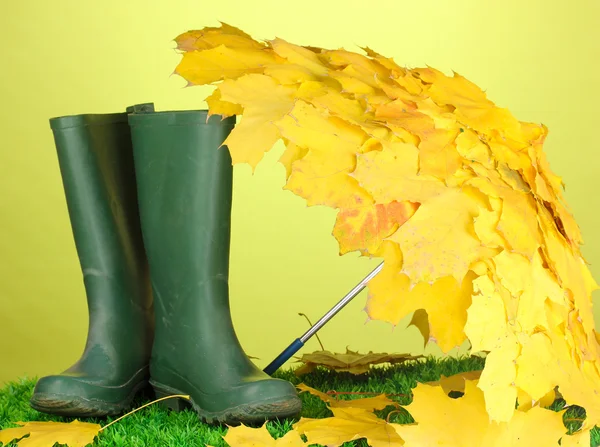 akçaağaç şemsiye ile gumboots yeşil çimenlerin üzerinde bırakır