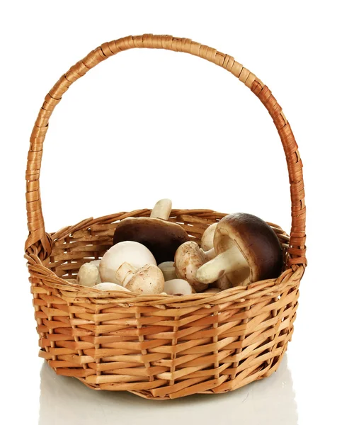Čerstvé houby v košíku izolovaných na bílém — Stock fotografie