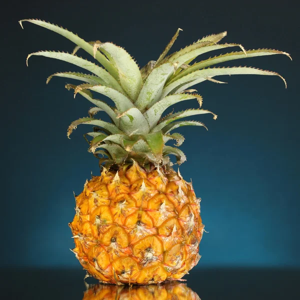Ripe pineapple on dark blue background — Stock Photo, Image